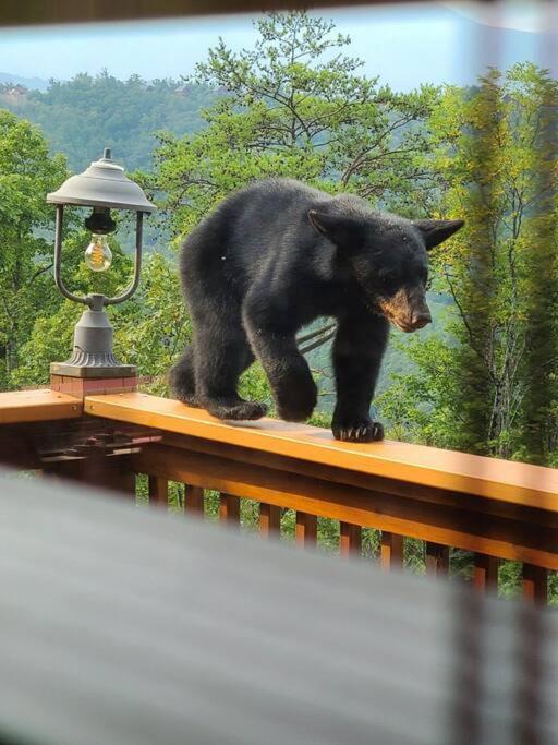 Willa Yogi'S Den: Breathtaking Views! 3 Min To Dollywood, On 1 Acre! Sevierville Zewnętrze zdjęcie