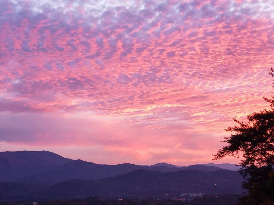 Willa Yogi'S Den: Breathtaking Views! 3 Min To Dollywood, On 1 Acre! Sevierville Zewnętrze zdjęcie